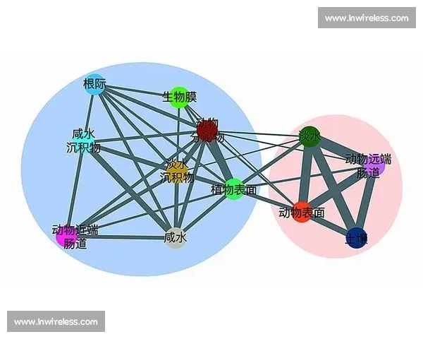红线虫生态特征、生长环境及其在生态系统中的重要作用分析